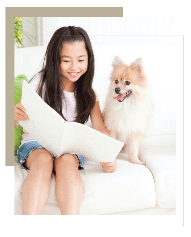 puppies for sale in singapore - girl reading book with puppy